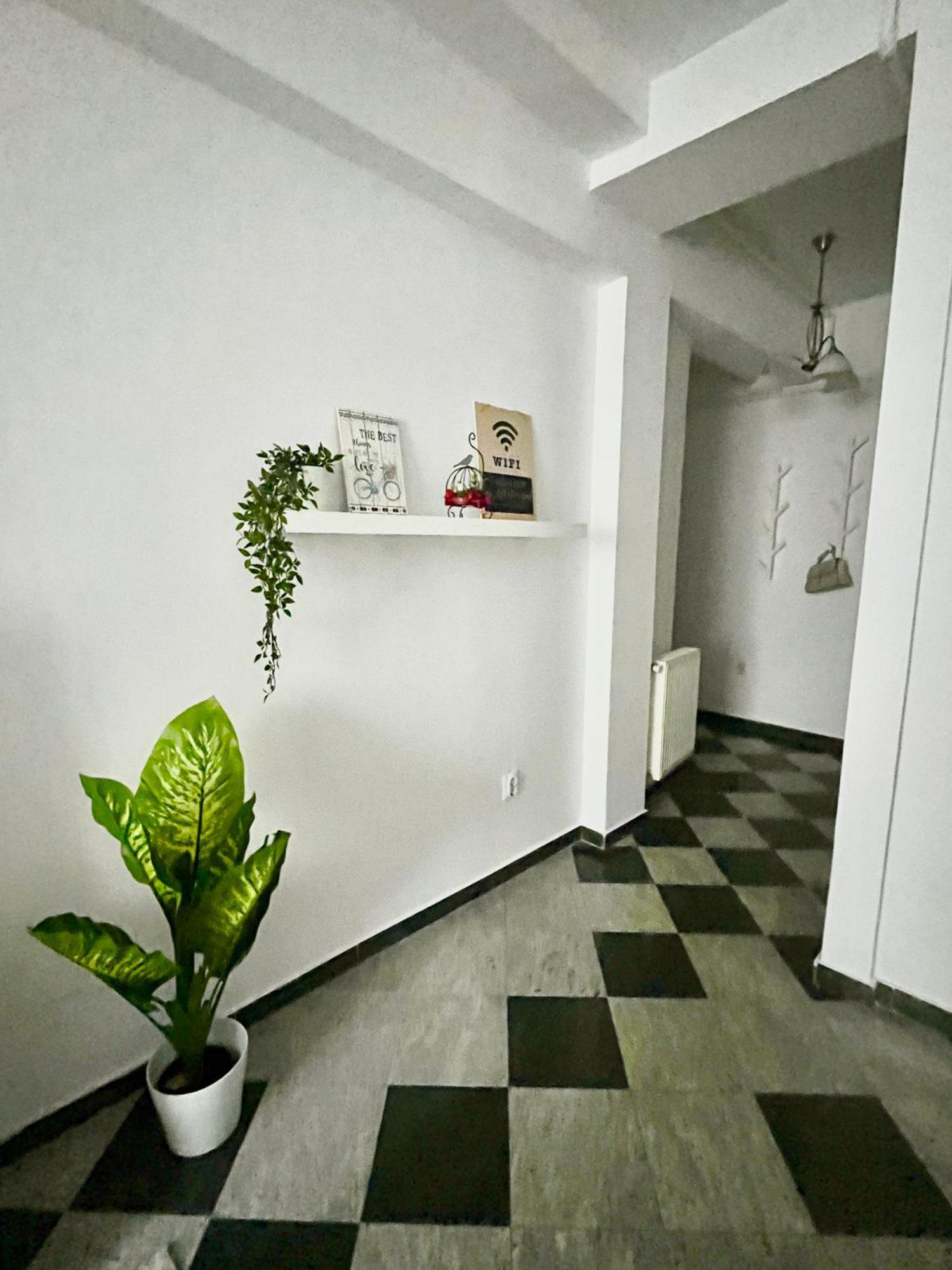 Victoriei Spacious Studio Bucharest Exterior photo